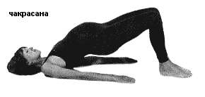 chakrasana