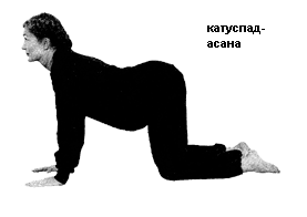 katuspadasana